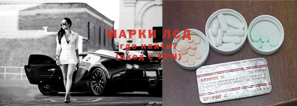 соль ск Новозыбков