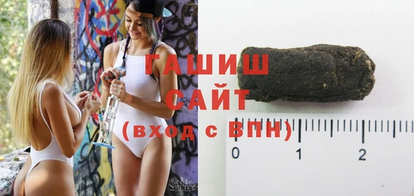 соль ск Новозыбков