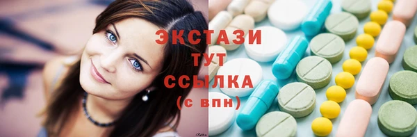 соль ск Новозыбков
