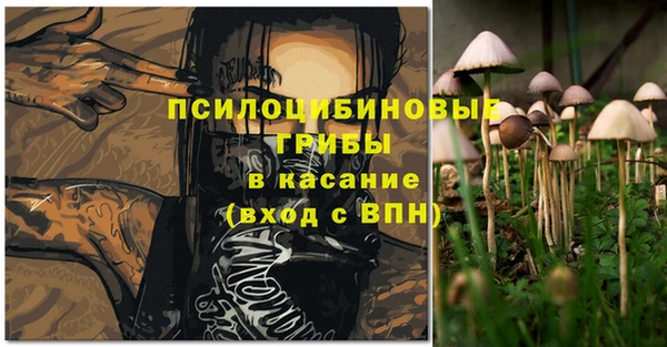 соль ск Новозыбков