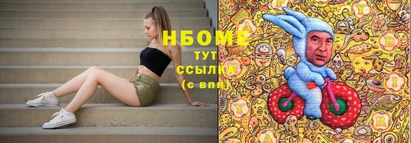 соль ск Новозыбков
