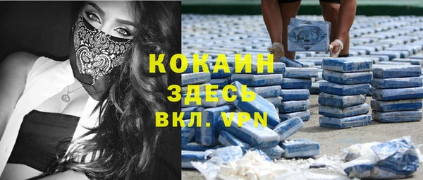 соль ск Новозыбков