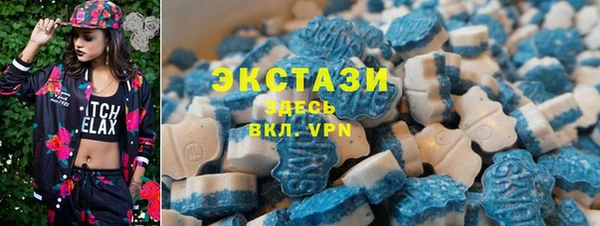соль ск Новозыбков