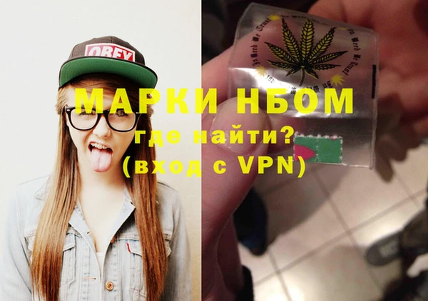 соль ск Новозыбков
