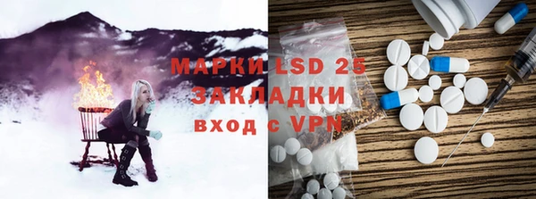 соль ск Новозыбков