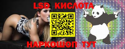 spice Донской