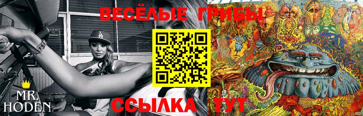 Галлюциногенные грибы ЛСД  Вход с VPN  Сорочинск 