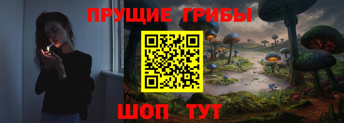 Галлюциногенные грибы GOLDEN TEACHER Сорочинск